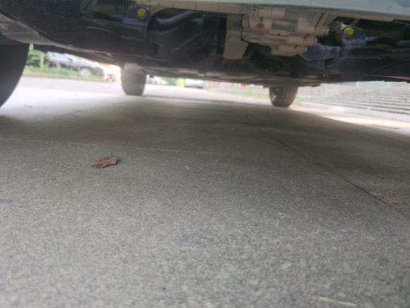 [嘉兴·浙F] 二手长安奔奔E-Star2021款 国民版 心悦版 磷酸铁锂（31.86kWh）