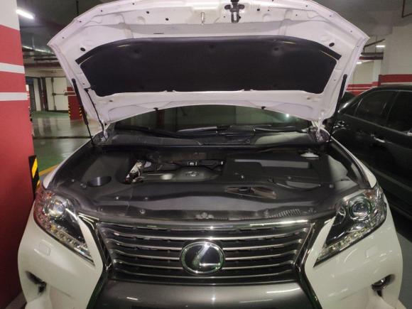 [南昌·沪B] 二手雷克萨斯雷克萨斯RX经典2014款 270 特别限量版