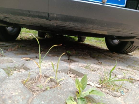 [上海·豫H] 二手马自达马自达CX-302020款 2.0L 自动雅悦型