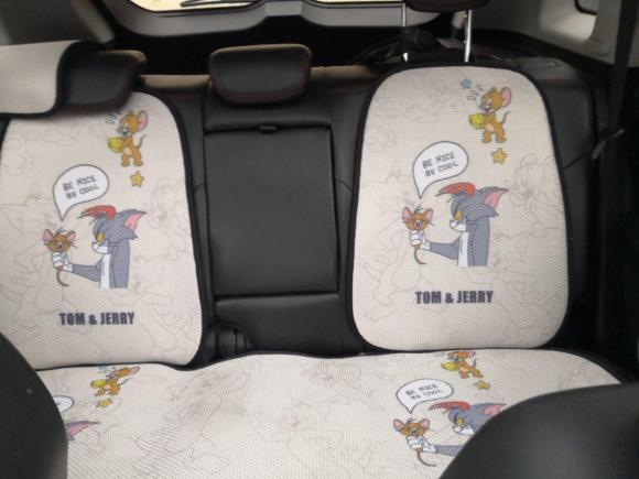 [成都·川A] 二手斯威汽车SWM斯威G012018款 1.5T 自动智UP