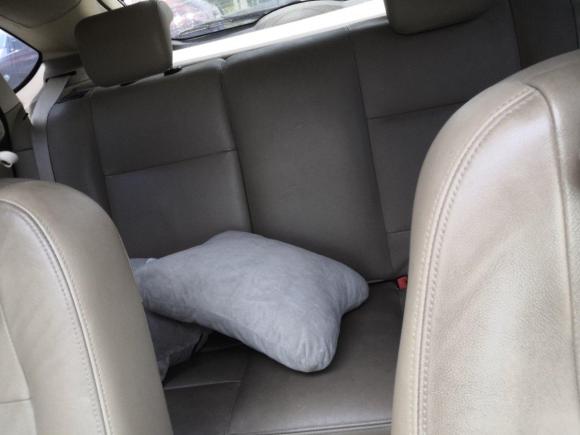 [上海·浙J] 二手福特福克斯2013款 两厢经典 1.8L 手动时尚型