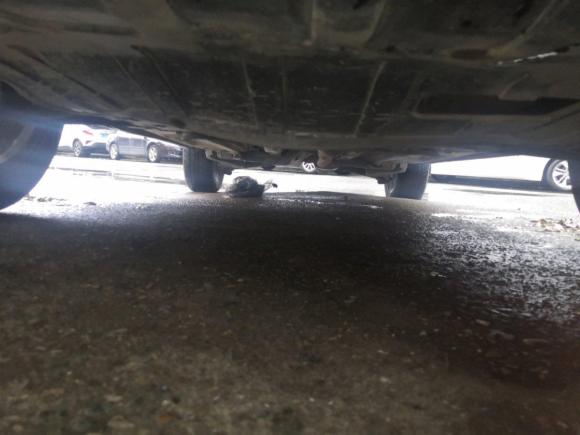 [温州·浙C] 二手启辰启辰T70X2015款 2.0L CVT睿趣运动版