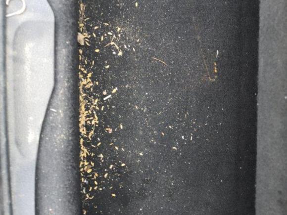 [青岛·鲁B] 二手宝马宝马2系旅行车2016款 218i 领先型