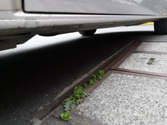 [杭州·浙A] 二手大众 迈特威 2008款 3.2L