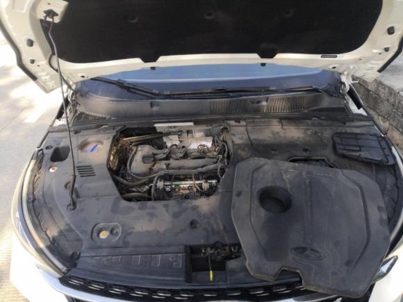 [广州·粤F] 二手奇瑞艾瑞泽GX2018款 1.5T CVT型色版 国V