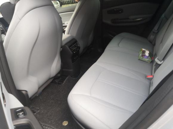 [嘉兴·浙F] 二手蔚来蔚来ES62019款 420KM 运动版