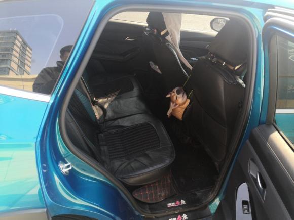 [南京·苏A] 二手哈弗哈弗赤兔2021款 激擎版 1.5T 铂金兔