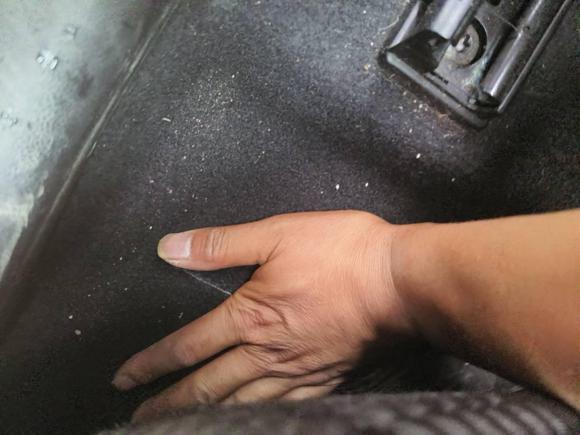 [义乌·浙G] 二手福特福克斯2019款 三厢 EcoBoost 180 自动ST Line