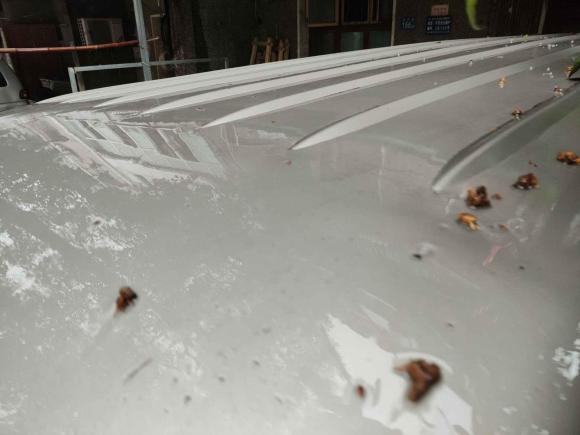 [武汉·鄂A] 二手金杯新海狮X30L2021款 1.5L财富中央空调版客车国VI SWC15M