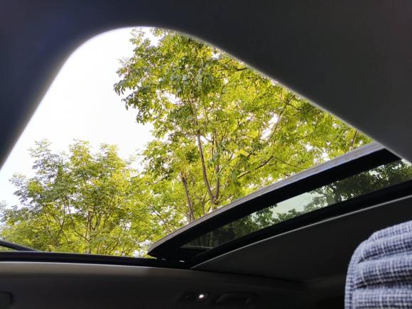 [上海·沪C] 二手大众途观L2019款 280TSI 自动两驱全景舒适版 国V