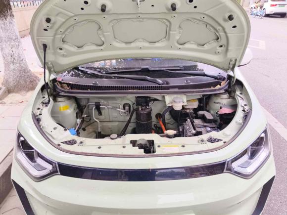 [成都·川A] 二手思皓花仙子2022款 花仙子款 满天星