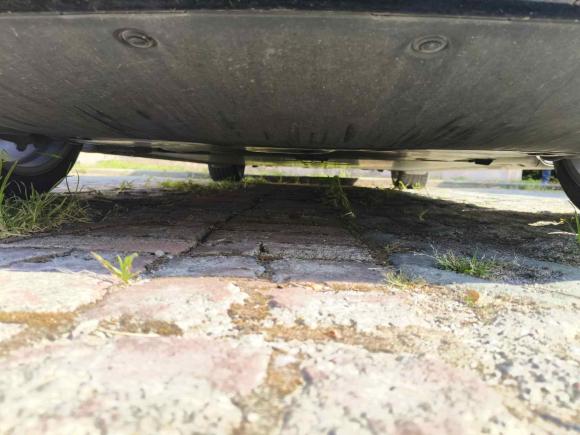 [上海·沪A] 二手特斯拉Model 32021款 标准续航后驱升级版