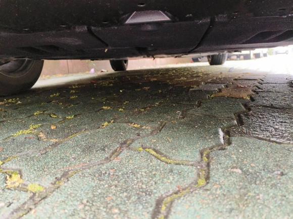 [武汉·鄂A] 二手丰田雷凌2023款 智能电混双擎 1.8L 领先版