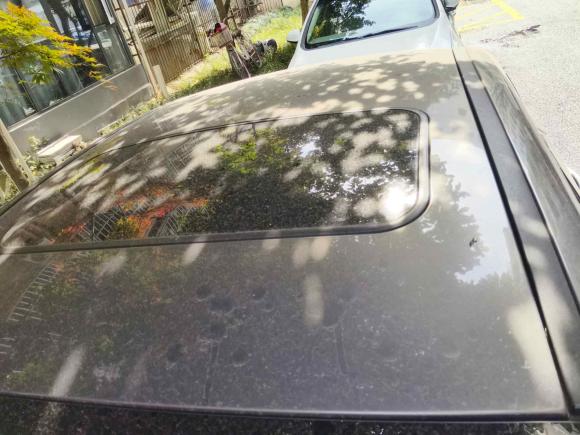 [杭州·浙A] 二手福特福克斯2012款 三厢 1.6L 手动风尚型