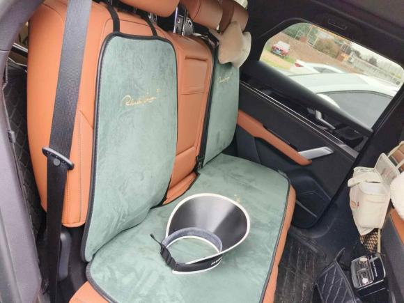 [西安·陕A] 二手比亚迪唐新能源2023款 DM-i 冠军版 112KM 尊享型