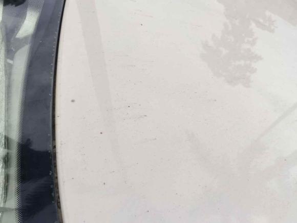 [深圳·鄂S] 二手大众朗逸2015款 1.6L 自动风尚版