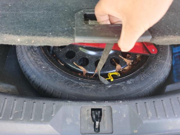 [苏州·苏E] 二手福特翼虎2013款 1.6L GTDi 两驱舒适型