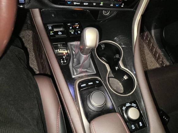 [苏州·苏E] 二手雷克萨斯雷克萨斯RX2016款 300 两驱舒适版 国V