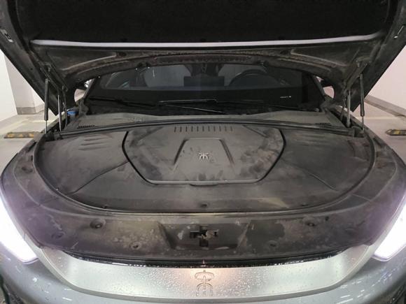 [南京·苏A] 二手比亚迪宋PLUS新能源2021款 EV 尊贵型