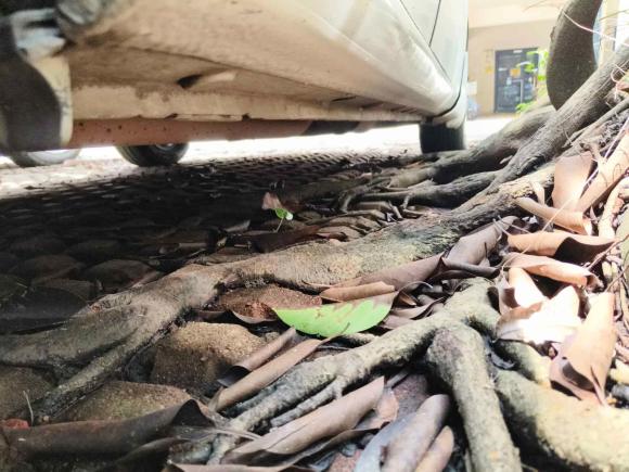 [佛山·粤A] 二手本田飞度2008款 1.3L 自动舒适版