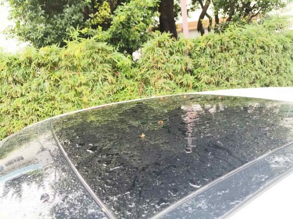 [佛山·粤X] 二手奥迪奥迪A32020款 Sportback 35 TFSI 进取型 国VI