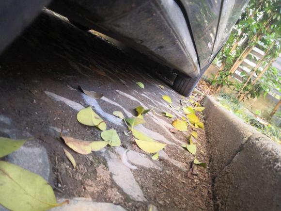 [上海·沪A] 二手大众帕萨特2011款 1.8TSI DSG尊荣版