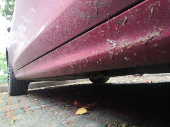 [无锡·苏B] 二手比亚迪秦PLUS2021款 EV 600KM 旗舰型