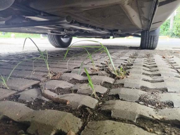 [苏州·苏E] 二手东风风行风行SX62019款 1.6L 手动豪华型 国VI