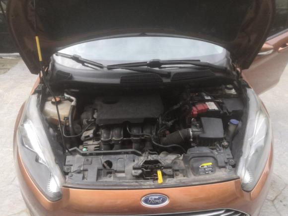 [湖州·浙E] 二手福特嘉年华2013款 两厢 1.5L 自动时尚型