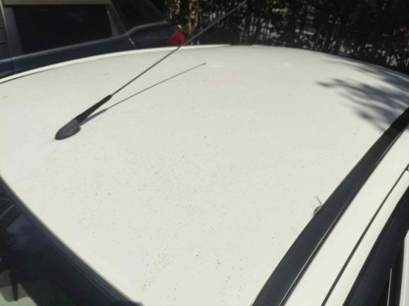 [上海·浙J] 二手铃木奥拓2013款 1.0L 自动豪华型