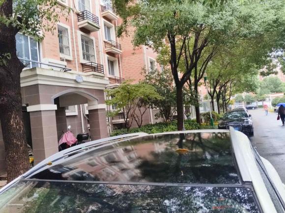 [苏州·苏E] 二手日产逍客2016款 2.0L CVT豪华版