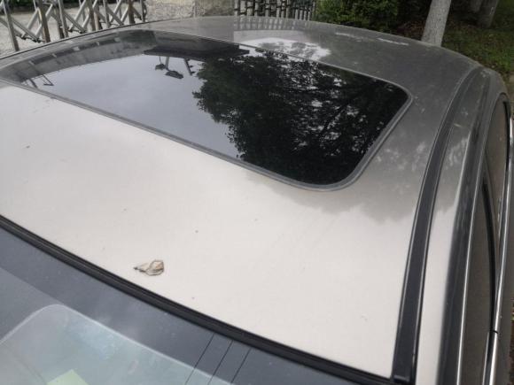 [上海·沪C] 二手日产轩逸2012款 经典 1.6XL 手动豪华版