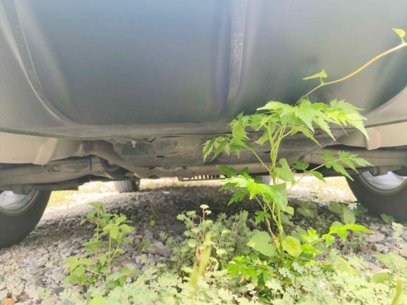 [嘉兴·浙F] 二手保时捷Macan2017款  Macan 2.0T