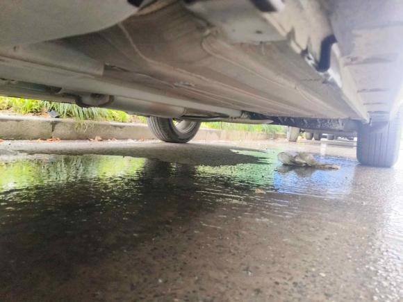 [上海·苏J] 二手启辰启辰T602020款 1.6L CVT智行版 国V