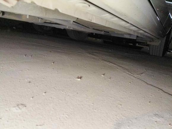 [西安·陕A] 二手丰田雷凌2018款 185T CVT尊贵版 国V