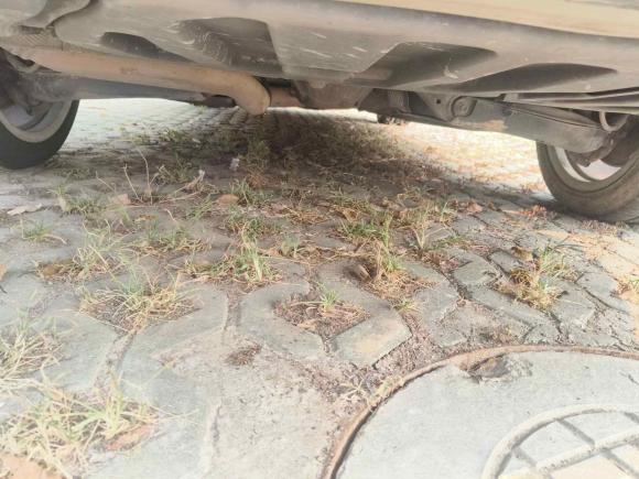 [上海·沪C] 二手奔驰奔驰E级2010款 E 260 L CGI优雅型