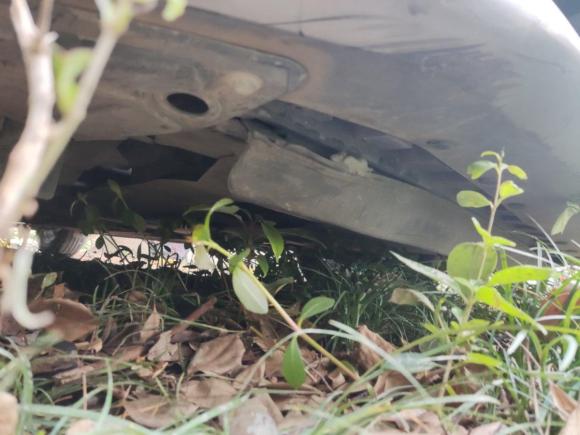 [上海·苏M] 二手日产骐达TIIDA2011款 1.6L CVT舒适型