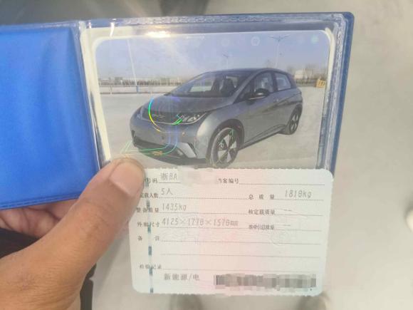 [宁波·浙B] 二手比亚迪海豚2023款 420km 自由版