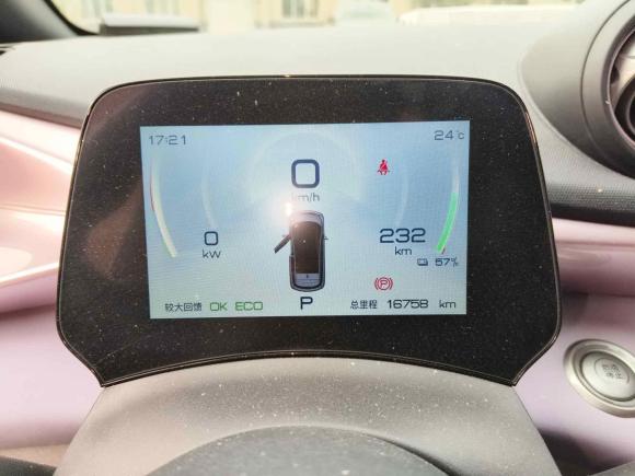 [济南·鲁A] 二手比亚迪海豚2021款 405km 时尚版