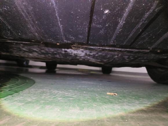 [上海·苏B] 二手奔驰奔驰B级2012款 B 180