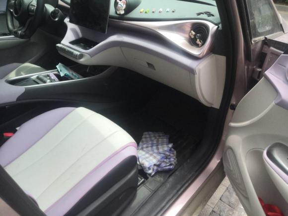 [嘉兴·浙F] 二手比亚迪海豚2021款 405km 时尚版