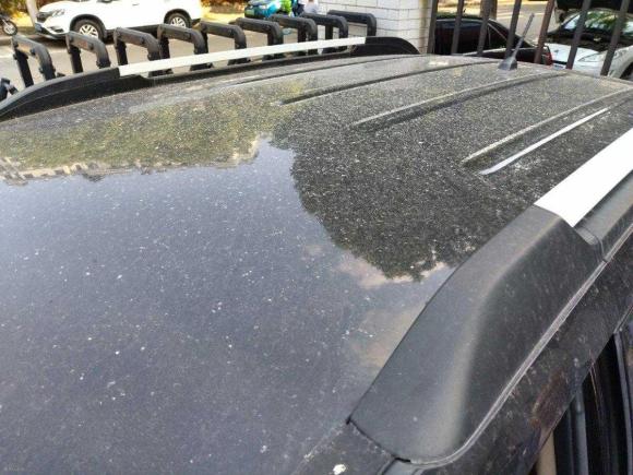 [南京·苏A] 二手起亚狮跑2013款 2.0L 手动两驱版GL