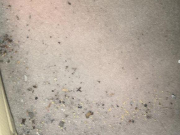 [常州·苏D] 二手北汽新能源北汽新能源EV2014款 E150EV 科技版