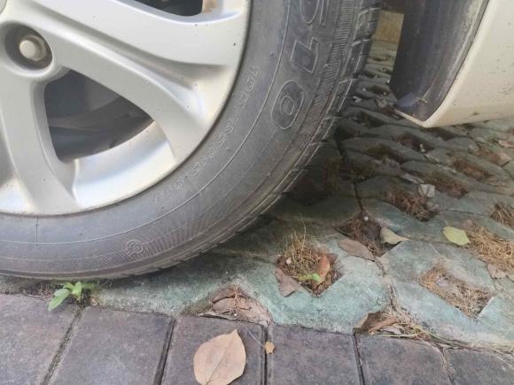 [嘉兴·浙F] 二手马自达马自达3星骋2011款 三厢 1.6L 自动舒适型