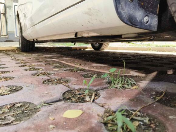 [北京·鲁V] 二手沃尔沃沃尔沃S602016款 S60L T3 智行版