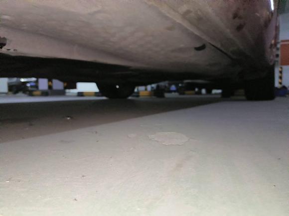 [温州·浙A] 二手斯柯达明锐2010款 2.0TSI RS