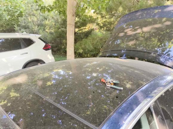 [北京·京N] 二手奥迪奥迪A52017款 Sportback 40 TFSI 时尚型