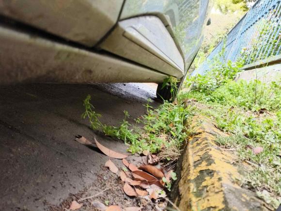 [上海·皖G] 二手斯柯达速派2016款 TSI280 DSG创行版