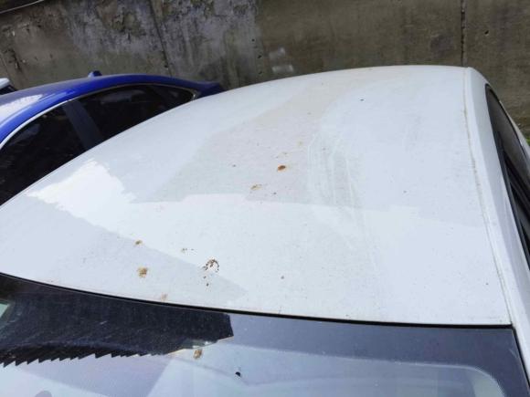 [成都·川A] 二手斯柯达明锐2018款 TSI230 DSG舒适版