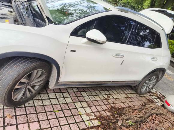 [广州·粤A] 二手DSDS 62014款 1.6T 豪华版THP160